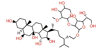 Crossasteroside P1